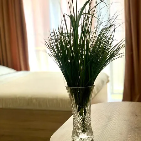 Osapart In A Complex Semycvit 6