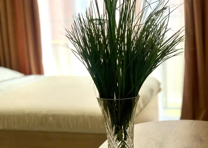 Osapart In A Complex Semycvit 6